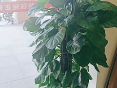 -张钰强中医正骨推拿连锁(唐家人才公寓店)