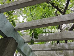 -观象山公园