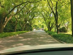 -西郊宾馆-地面停车场