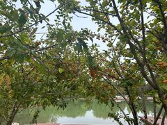 -河南工业大学(莲花街校区)