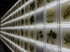 -广东中医药博物馆