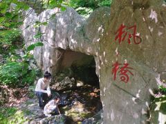 -天女山森林公园