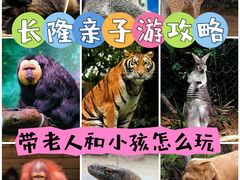 -广州长隆野生动物世界