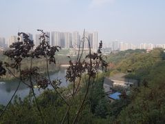 -重庆彩云湖湿地公园