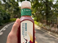 -大屏嶂森林公园