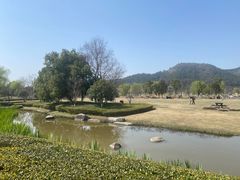 -径山花海