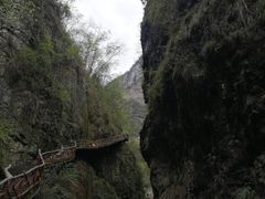 -鹿院坪生态旅游景区