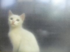 窗外看客-维吾尔餐厅(宜山路店)