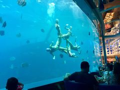 -瑞德姆美人鱼海底演艺主题餐厅(亚龙湾店)