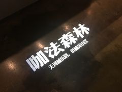 -咖法森林·咖啡  酒吧(天河店)
