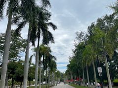 -厦门大学(思明校区)