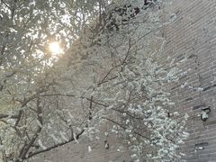 -雍和宫(地铁站)