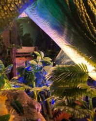 -恐龙探索乐园(磁器口店)