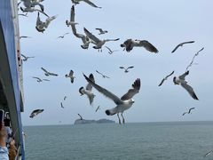 -海驴岛(荣成市)