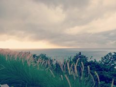 -Rock Bar Bali(Bali)