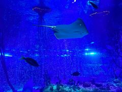 -沈阳海洋探索中心