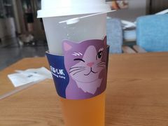 -有猫儿腻咖啡厅.猫咖