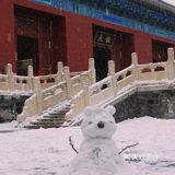 去年打卡太庙，今年打卡天坛