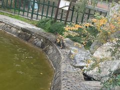 -西安市长乐公园