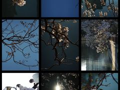 -红星桥(地铁站)
