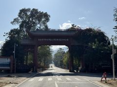 -霸王岭国家森林公园