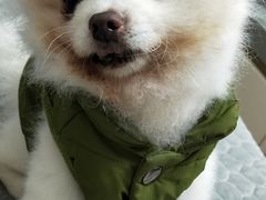 -尊宝比萨(较场口店)