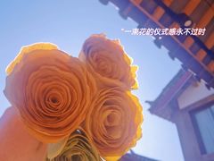 -阿婆情腊排骨火锅·野生菌季(古城旗舰店)