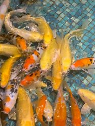 -酷嗒动物文化乐园(cutezoo西溪乐天城店)