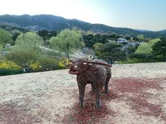 -北京西山国家森林公园