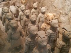 android_upload_pic-济州岛泰迪熊博物馆