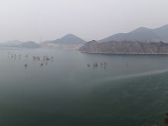 -望湖烤鱼