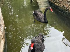 -南宫五洲植物乐园