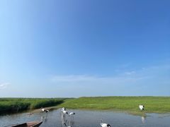 -黑龙江扎龙生态旅游区