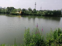 -南通濠河风景名胜区