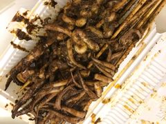 -十里铺铁板鱿鱼