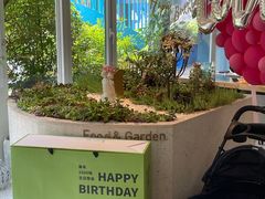 -春树下·树屋花房西餐厅(罍街AS1980店)