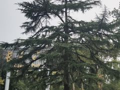 -西安市长乐公园