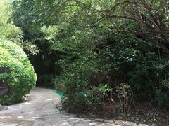 -仁爱团泊湖温泉中心