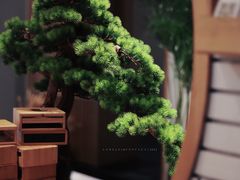 -瓦舍茶馆(聚源路店)