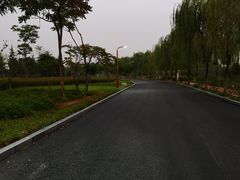 -洨河生态公园