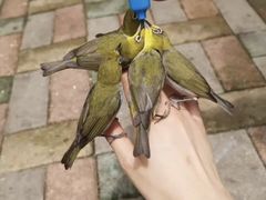 -龙凤山庄影视度假村
