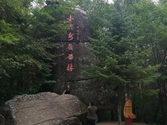 -汤旺河林海奇石景区