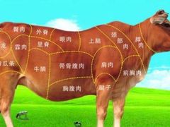 -潮牛海记•潮汕牛肉火锅•醉鸡煲•粿条汤(通北路店)