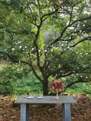 -花漾摄影优选工作室(东莞原创作品店)