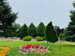 -石家庄市植物园