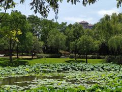 -武汉园博园(武汉自然博物馆)