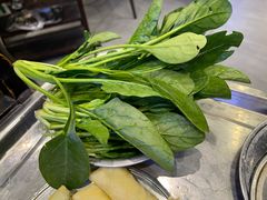 菠菜-月圆火锅(宁海东路二店)