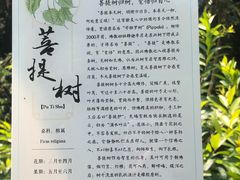 -世间香境·七溪地