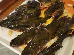 -融泽漁悦三只耳鱼火锅(南郑大道店)