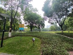 -重庆彩云湖湿地公园